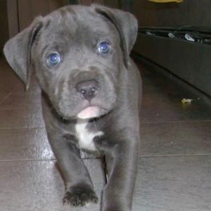 Meet your Posher, Bradley